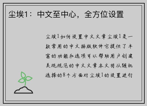 尘埃1：中文至中心，全方位设置